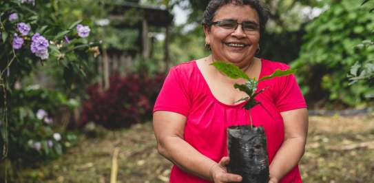 A farmer holds a seedling