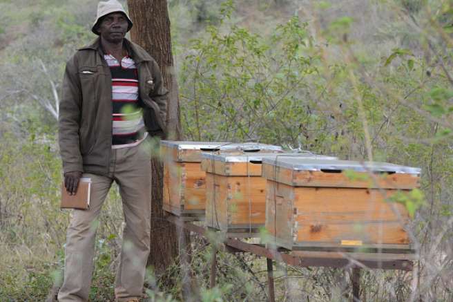 Daniel Muli Mwanzau at his home in Makueni Country Kenya. He stands over his modern hives which he bought from Christian Aid Kenya's social enterprise programme Nyuki Hubs..