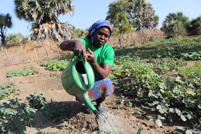 Abuk waters her vegetable garden 