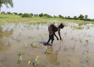 A woman standing in a flooded farmland in South Sudan